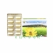顶级巴西蜂胶高浓度粉胶囊 30粒 12盒(每盒350)